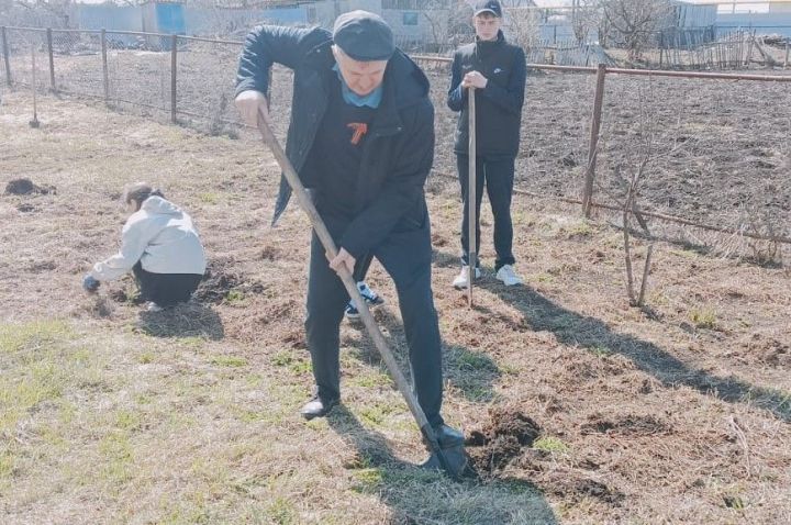 Күтәмәлеләр 50 төп чыршы утыртты