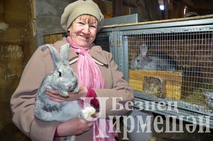 Гадәти булмаган бүләк фермерлыкка юл ачкан