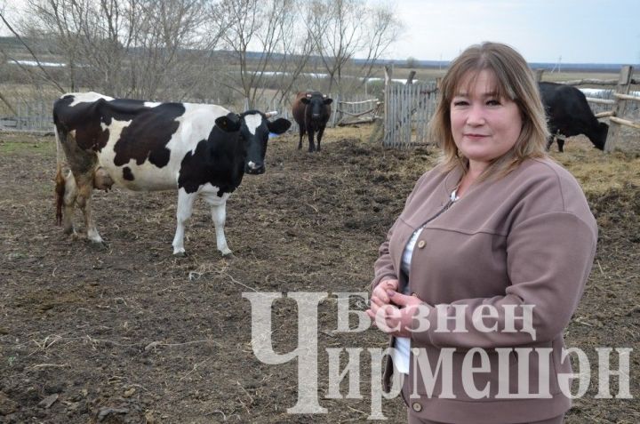 Иске Элмәледән Людмила Калугина көненә 100 килограммлап сөт сата