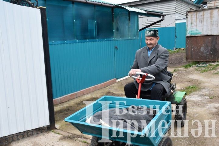 Лашман авылыннан 87 яшьлек Риза абыйның иртәсе зарядкадан башлана