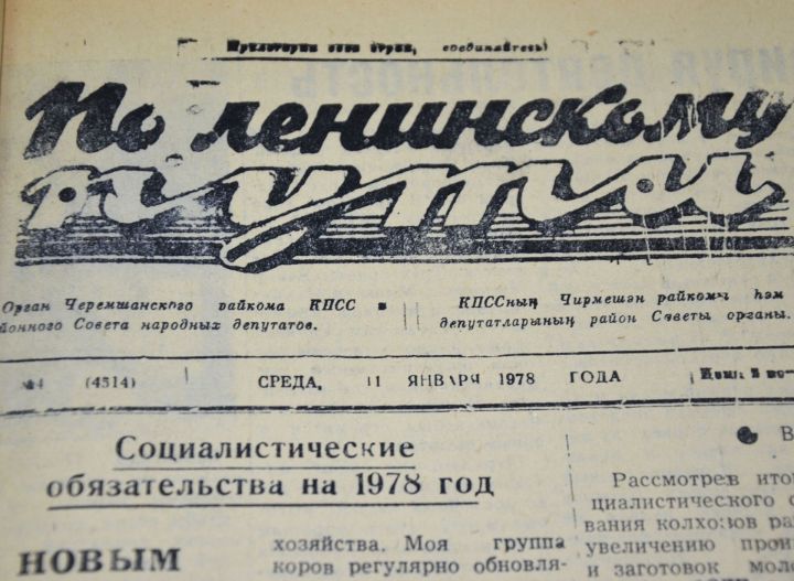 Кошка пришла в Набережные Челны из деревни, спустя три месяца