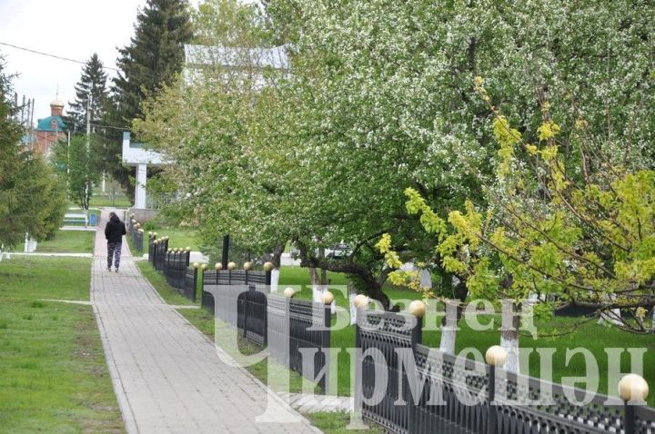 6 майга һава торышы