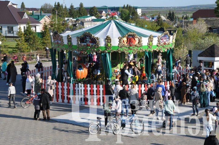 Чирмешән балалары вакытларын кая уздыра?