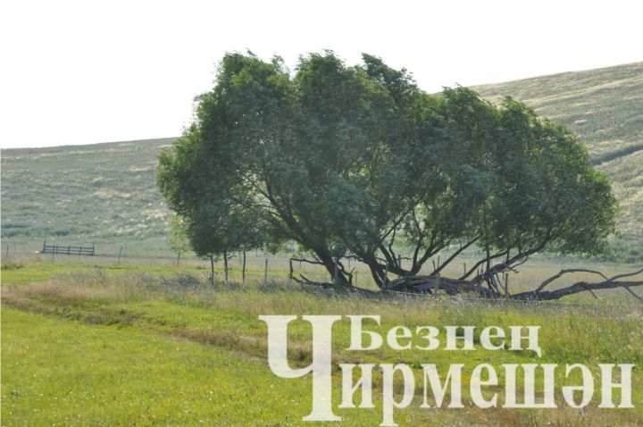 24 июльгә һава торышы