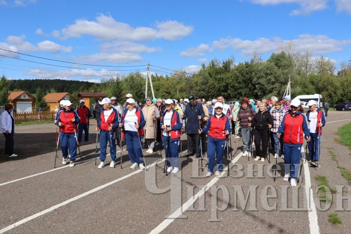 В Черемшане прошел фестиваль скандинавской ходьбы «Пойдем ходить!»