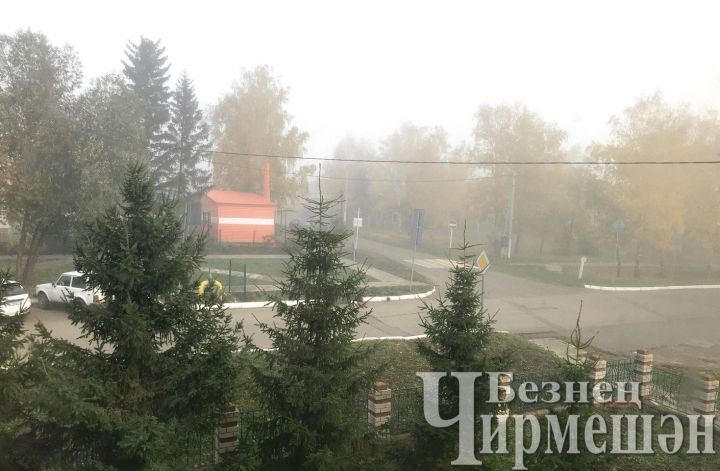Татарстанда ял көннәрендә кырау төшү ихтималы бар