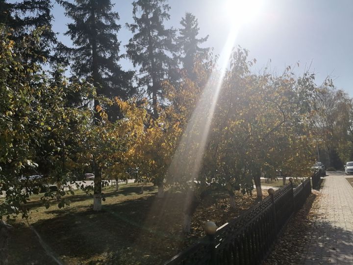 Как татарстанцы могут продлить ноябрьские праздники до 8 дней