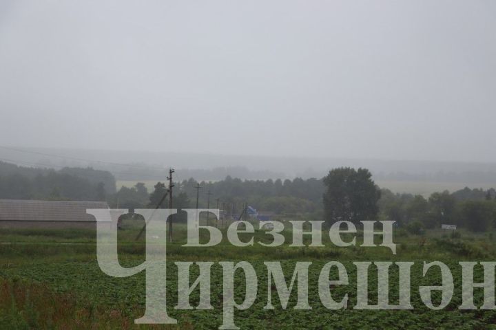 Татарстанда һава температурасы +5 градуска кадәр төшәчәк