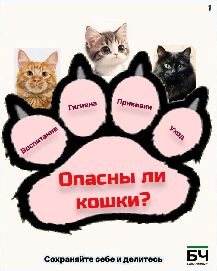 Опасность — понятие относительное (карточки)