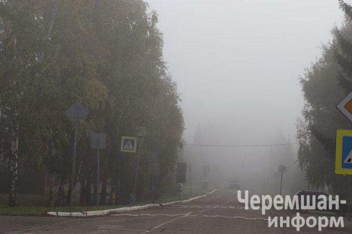В Черемшанском районе объявили войну «зелёным захватчикам»