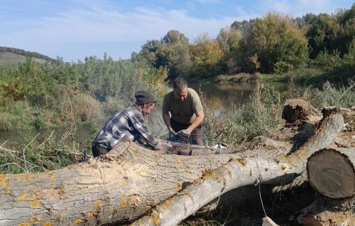 Шешминцы взялись за чистоту родного берега