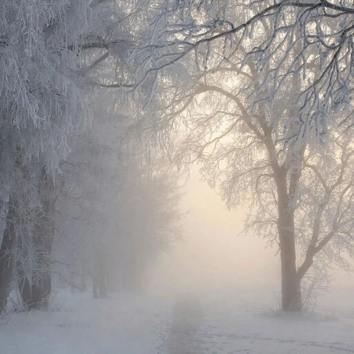 Татарстанлыларны иртәгә томан булу турында кисәттеләр