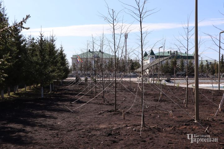 Бакчачыларга берничә киңәш