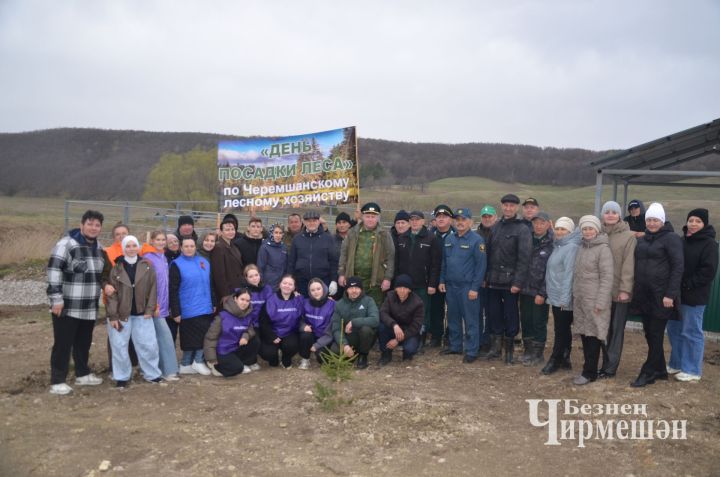 «Сад памяти» у родника: в селе Беркет-Ключ посадили 60 деревьев в честь 81-й годовщины Великой Победы