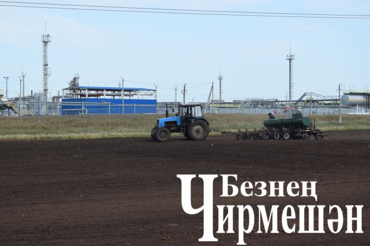 Чирмешәндә чәчүне төгәлләделәр