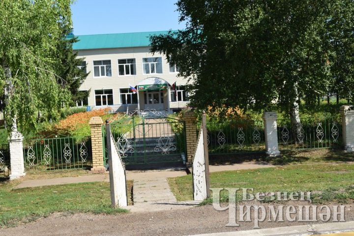 Плакаты черемшанских школьников по охране природы понравились жюри