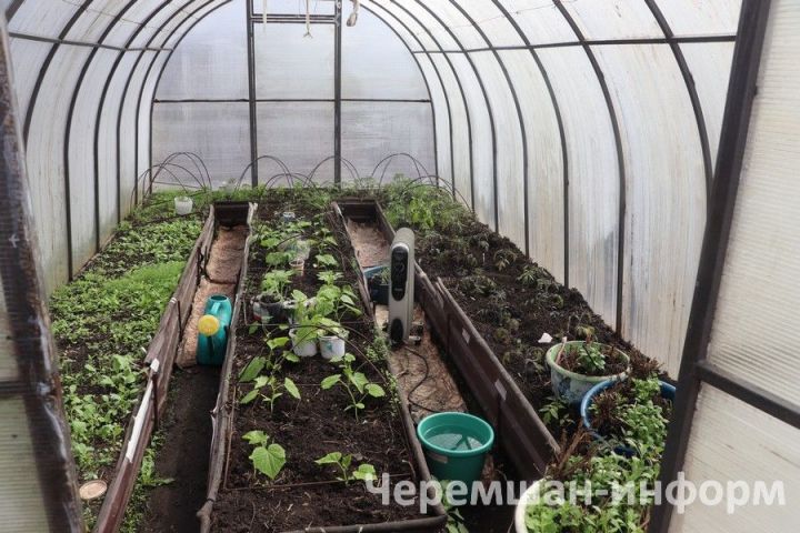 Андреевы через 40 лет вернулись в родное село - Девичья Поляна