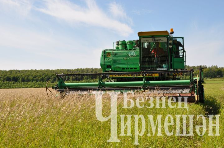 Чирмешән районында уракка 77 комбайн чыгачак