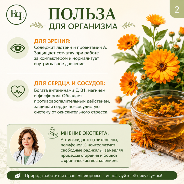 Календулы цветки