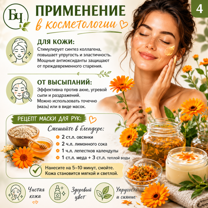 Календулы цветки