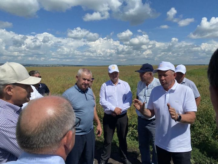 В «ЧЕРЕМШАНАГРО» приехали агрохимики из 30 районов республики