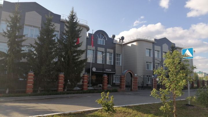 Ученица Черемшанского лицея стала обладателем гранта проекта «Физико-математический прорыв»