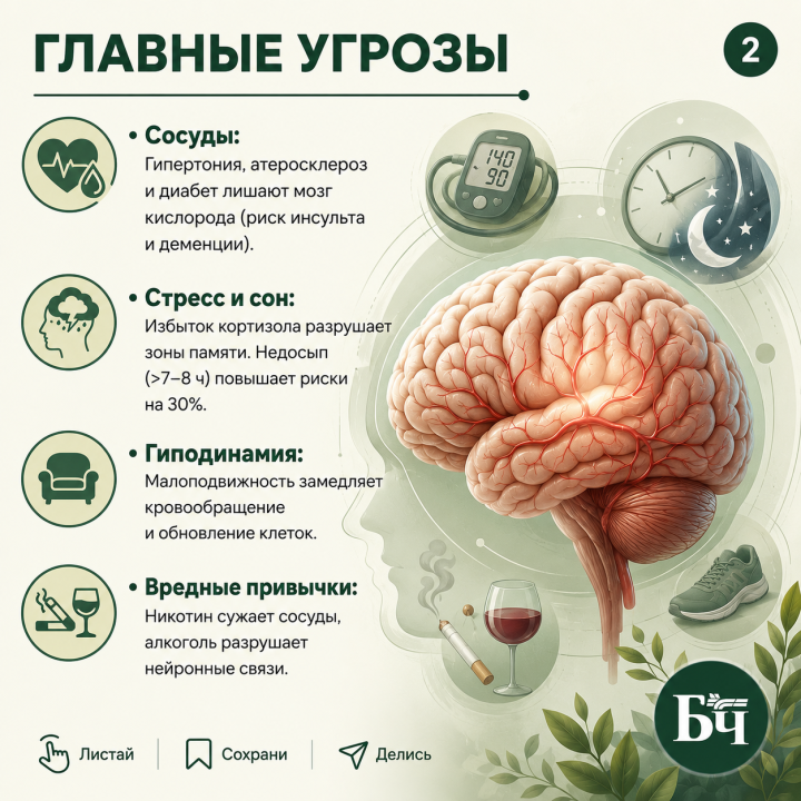 Твой мозг — это не просто «думалка». Это твой личный супергерой! (карточки)