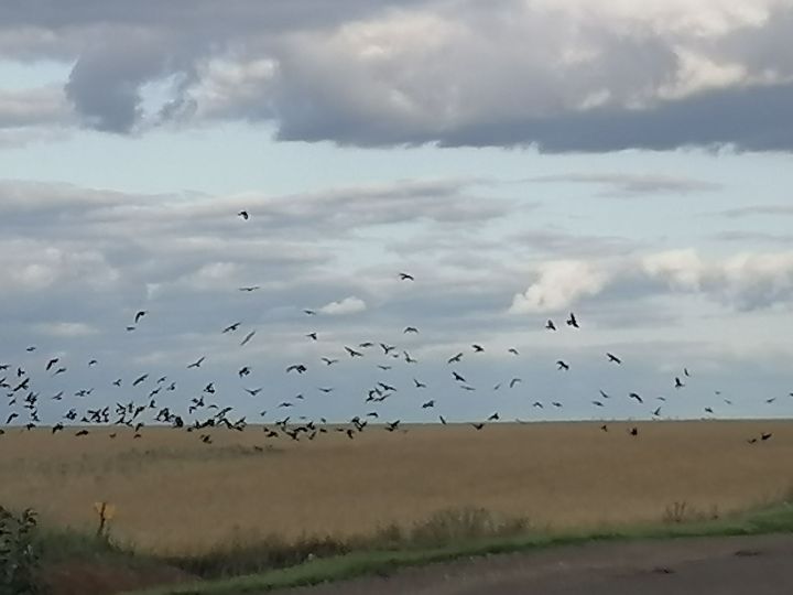 Народные приметы дня по погоде