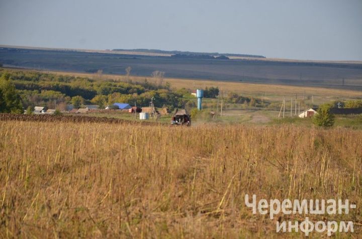 Приметы на 29 июля: сходи в гости, если зовут, и не затевай уборку дома