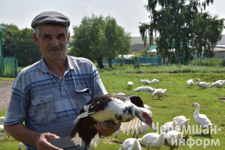 Птицеводы из Нижней Каменки знают толк в домашнем хозяйстве