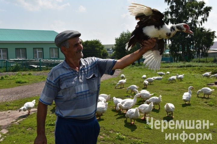 Птицеводы из Нижней Каменки знают толк в домашнем хозяйстве
