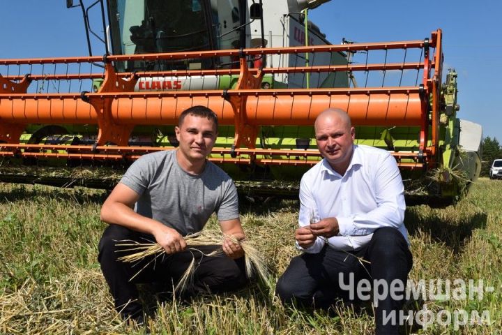 Чирмешән районында көзге культуралар уңышы амбарларга керә