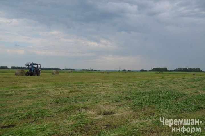 В полях у Фассаховых из Туйметкина 80 тюков и надежда на погожий день