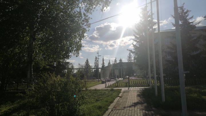 Посмотрите в окно, оцените погоду и найдите ближайшую рябину