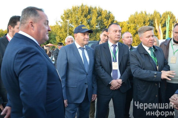 Чирмешән кунакларына - Элвин Грей җырлары һәм зур алма бәлеше