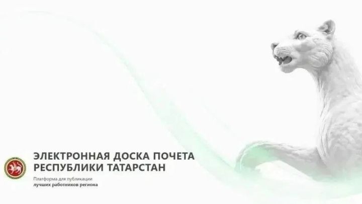 Чирмешән районыннан 76 кеше – Татарстанның электрон мактау тактасында
