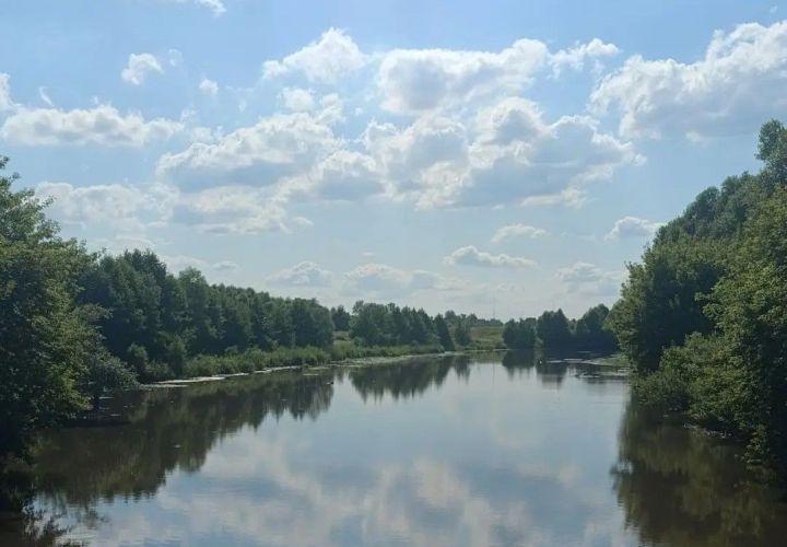 В реке Большой Черемшан утонул мужчина