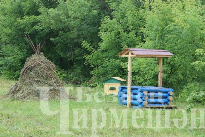 Народные приметы 5 сентября: день Лупа Брусничника