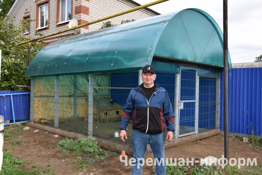 Күгәрченнәр кышкы суыкларга чыдам булса да, фазаннарга һәм тавис кошына җылы урын кирәк: Кадрия Гамирова фотосы