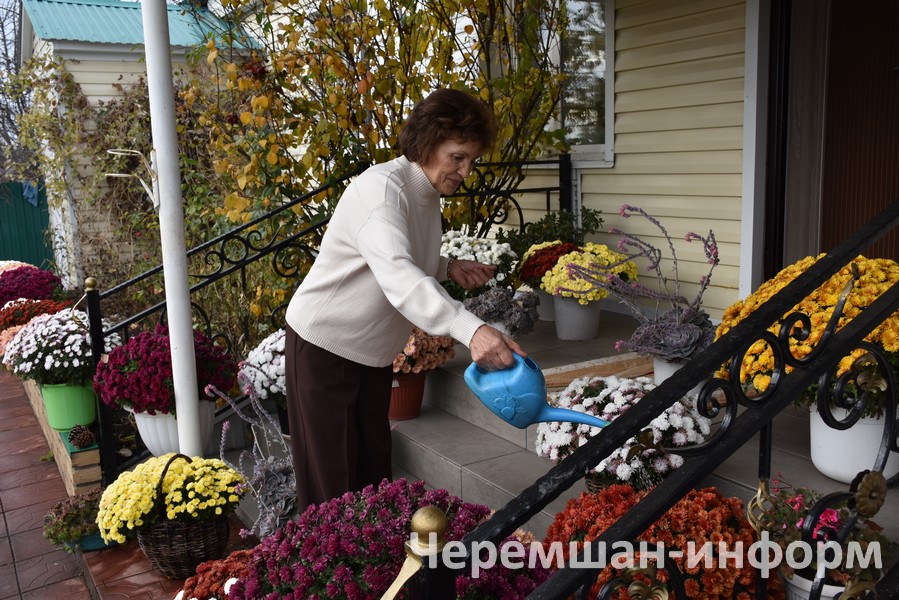 Гариповларда таш чәчәге (каменный цветок) дә үсә: Кадрия Гамирова фотосы