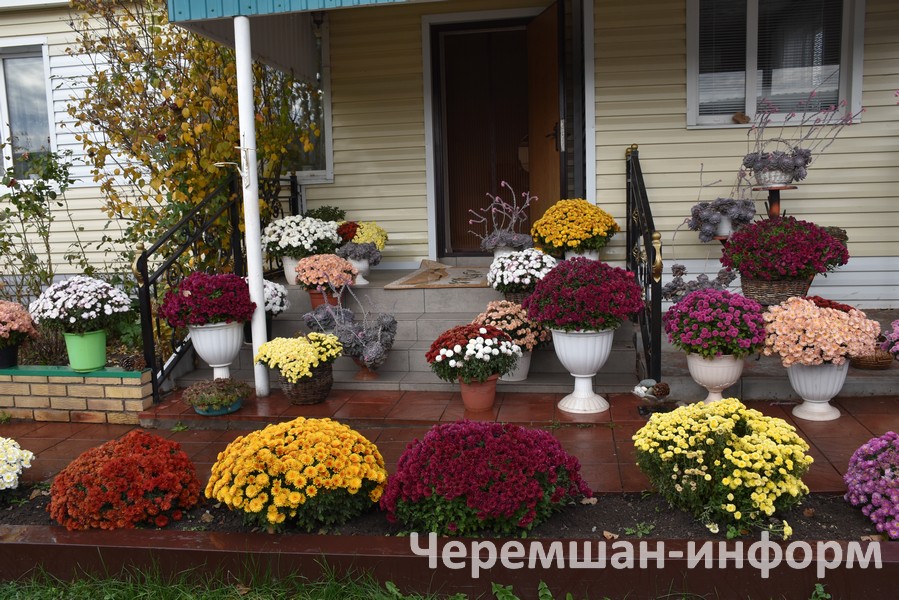 Май башында бу үсентеләр бакчага чыга: Кадрия Гамирова фотосы
