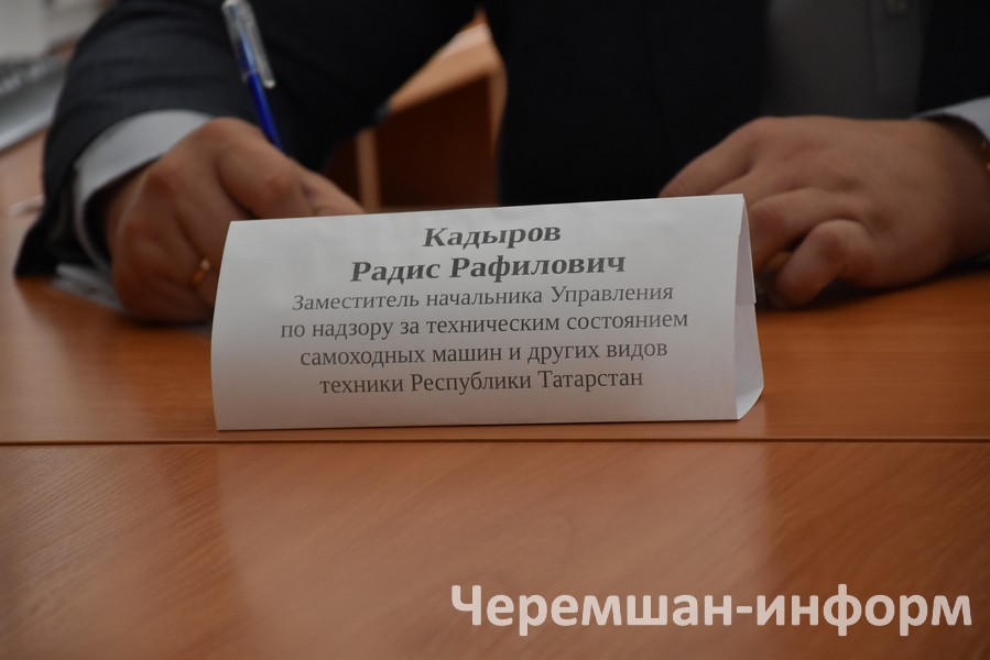 Руководитель из Казани в свою очередь внимательно выслушал обращение нашего земляка и дал свои советы: фото Кадрии Гамировой