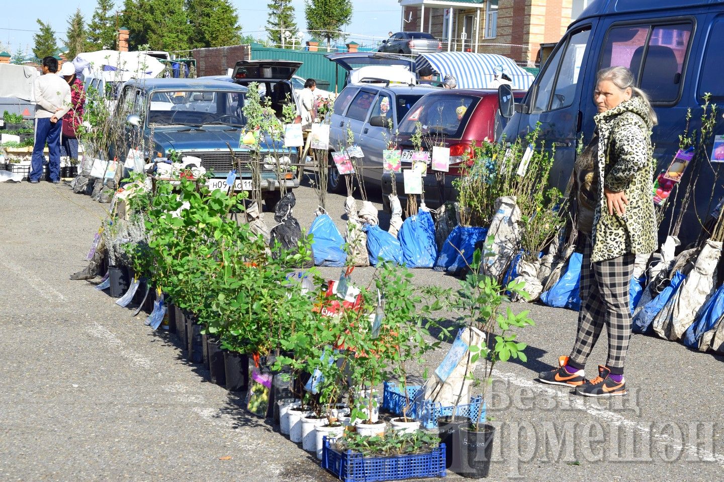 На прошедшей ярмарке в Черемшане был большой выбор цветов