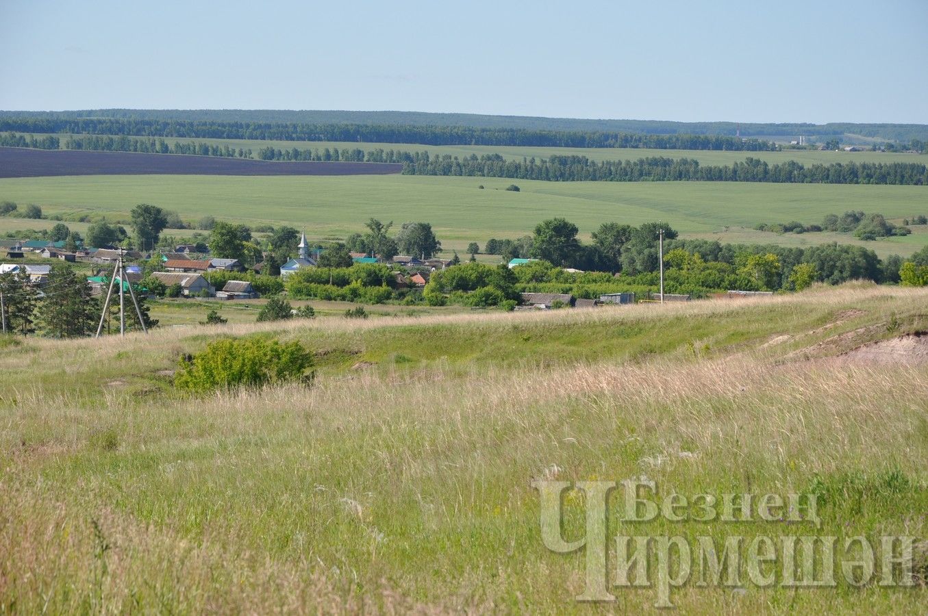 Природное удобрение Черемшанского района увозят и в соседние районы