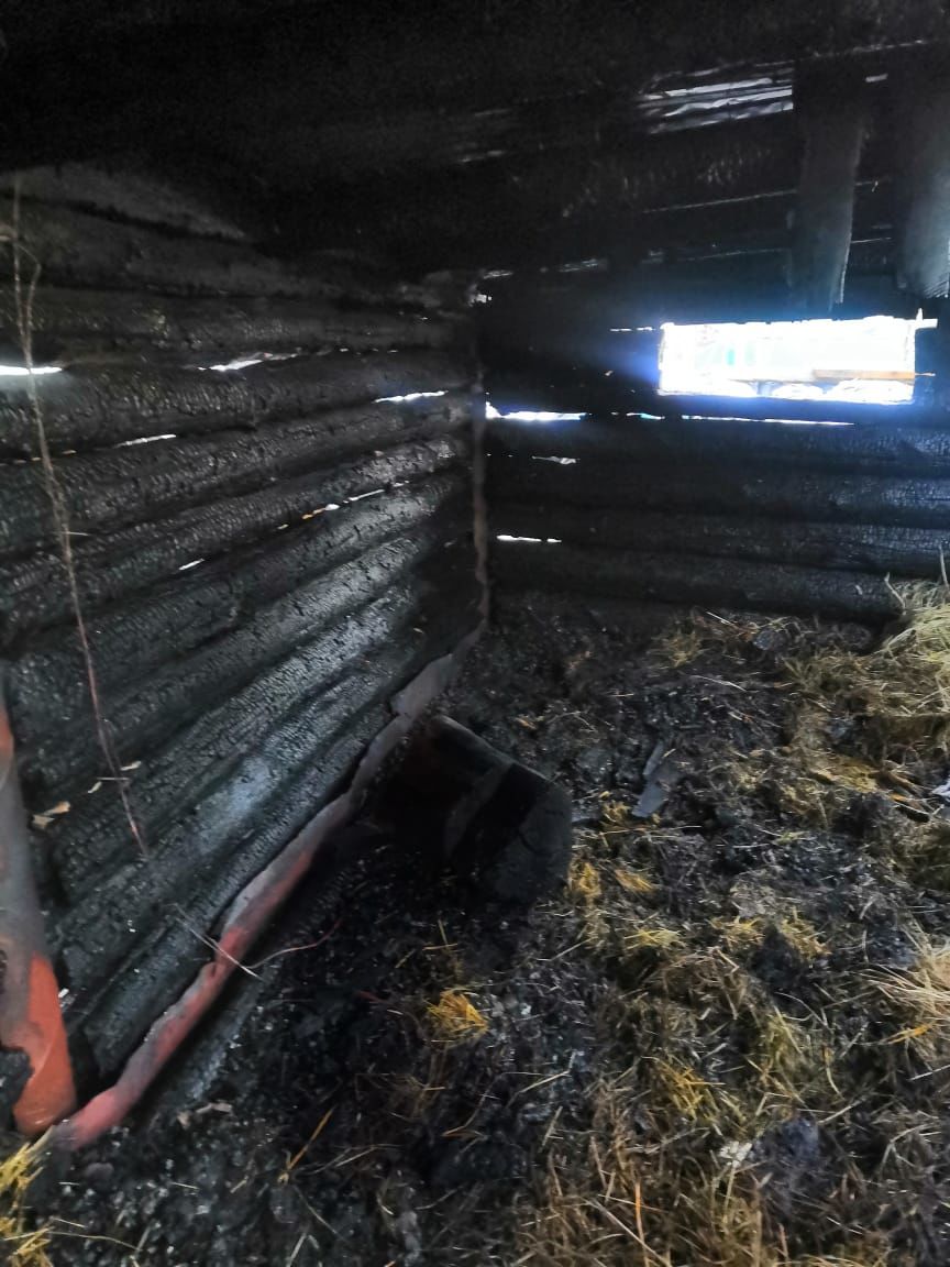 На пожаре в Девичьей Поляне погибли 18 свиней