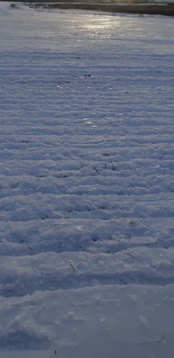 В сельхозпредприятиях Черемшанского района трактора ломают лед