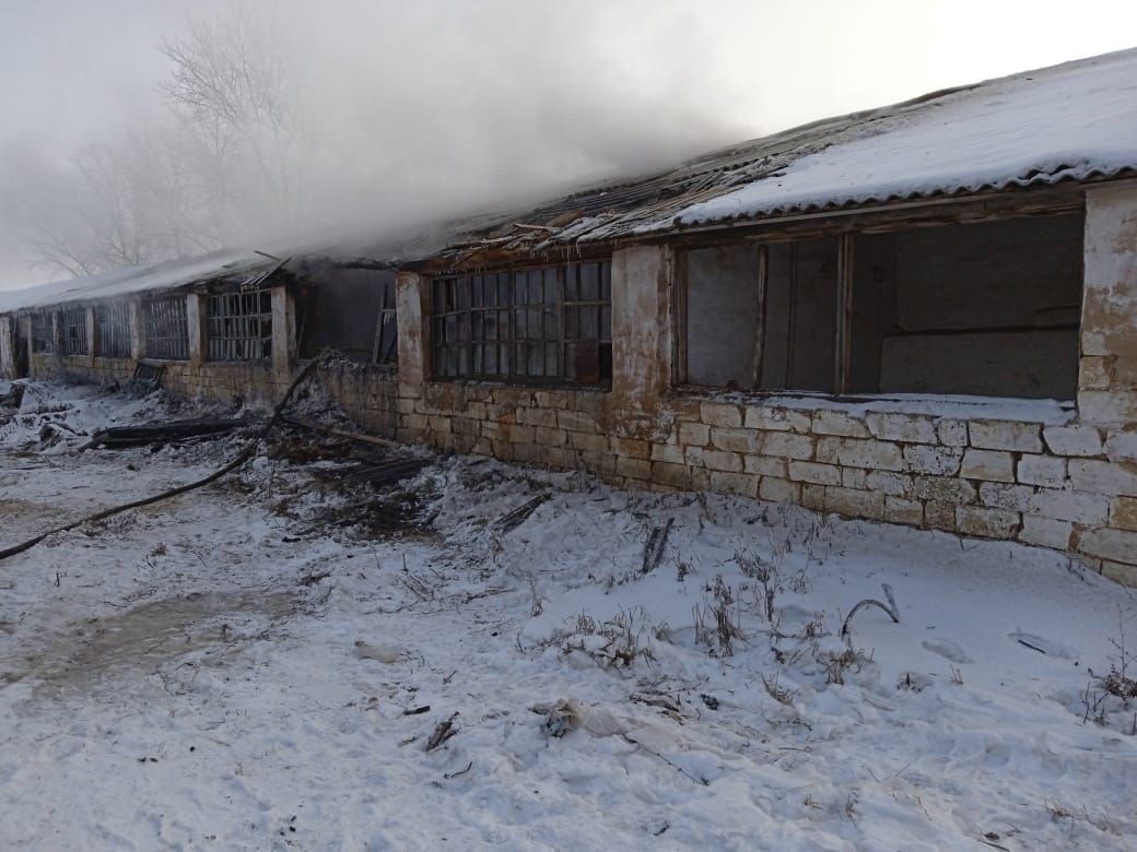 В гараже общества «Аккиреево» Черемшанского района произошло возгорание трактора