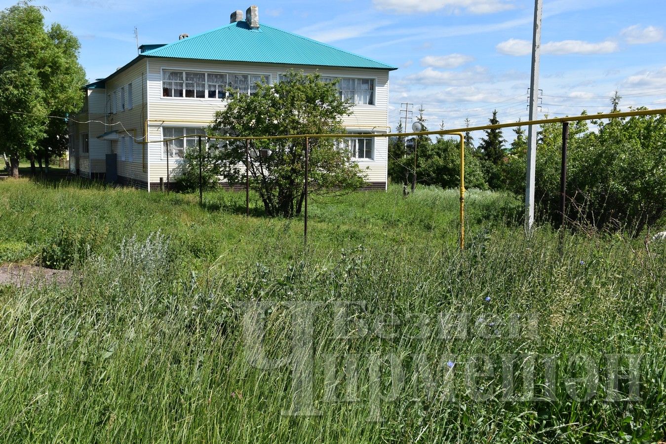 В Черемшане территория некоторых многоквартирных домов заросла кустарниками