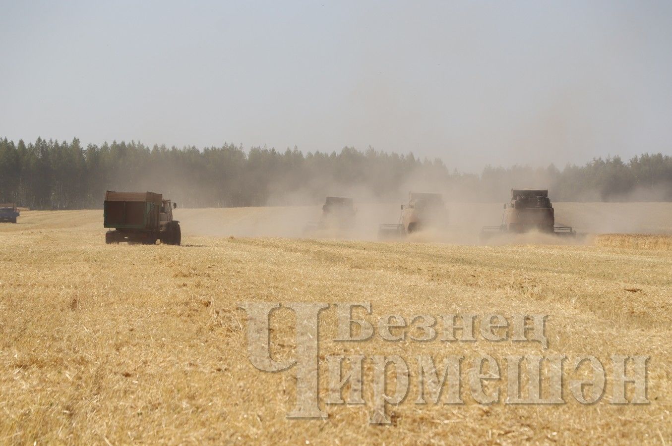 В Старых Кутушах общество «Тепсуркаев В. А.» завершает уборку зерновых