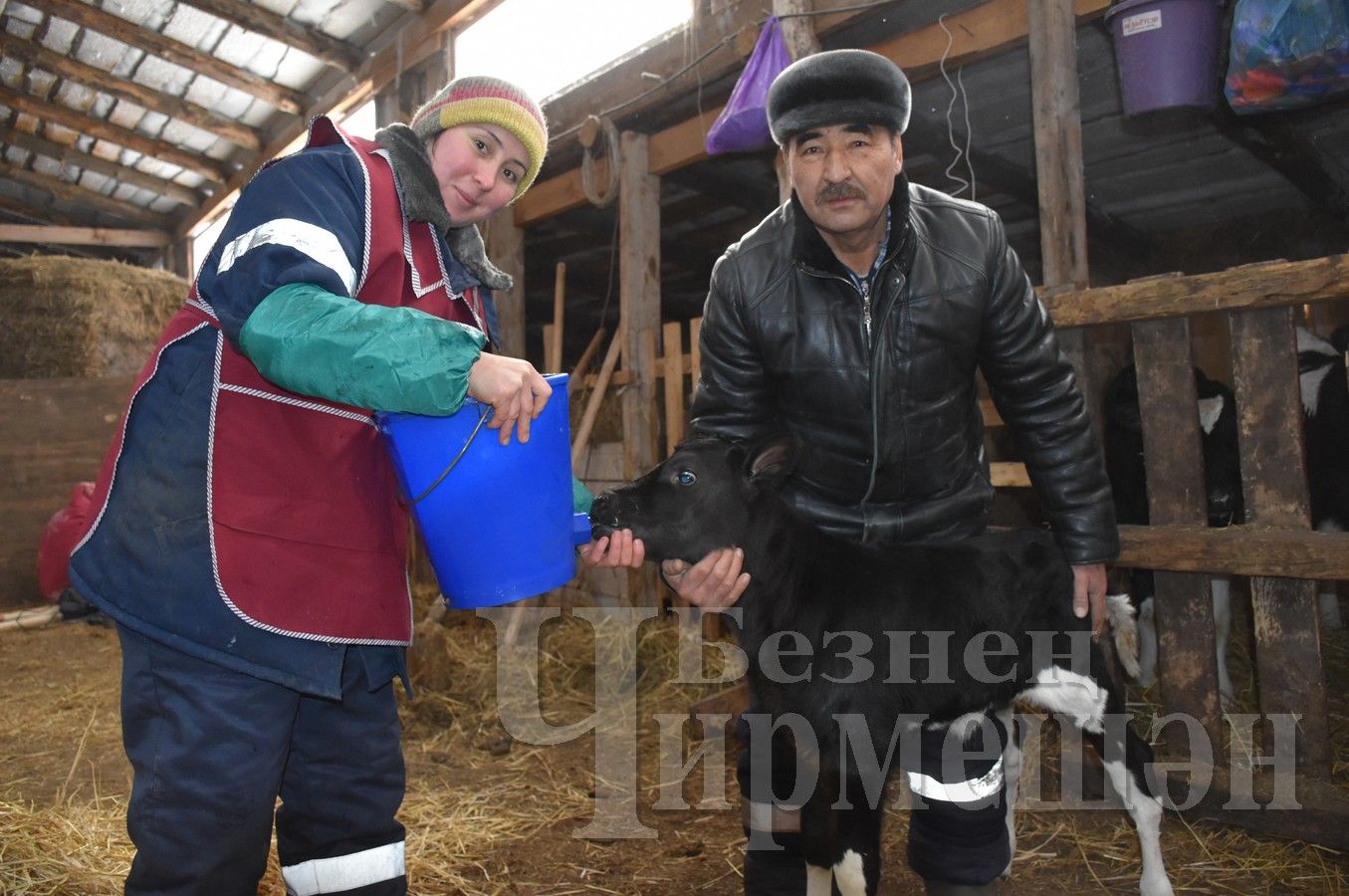 Семья Карабаевых из Черемшана находит время и для животноводства, и для пчеловодства